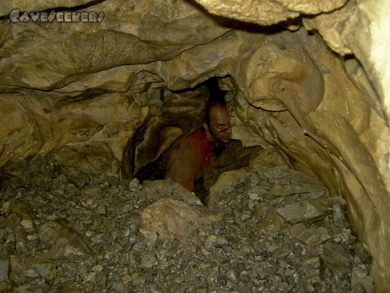 Fuchsloch Scharling: Bunk in 