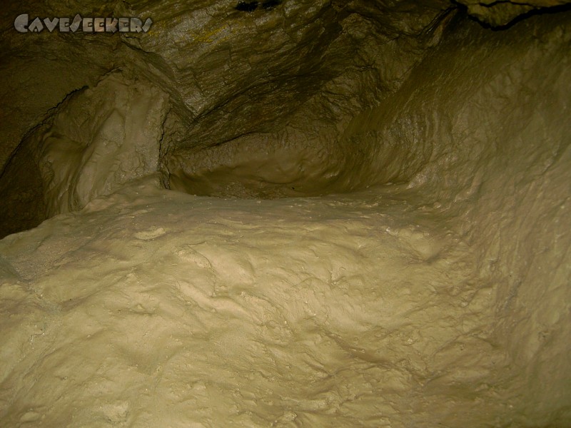 Fuchsloch Scharling: So schauts überall aus