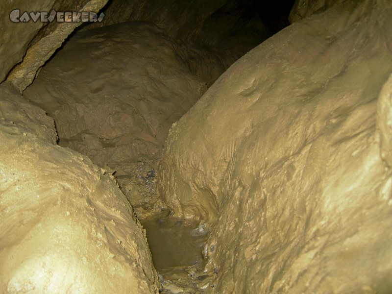 Fuchsloch Scharling: ...hier...