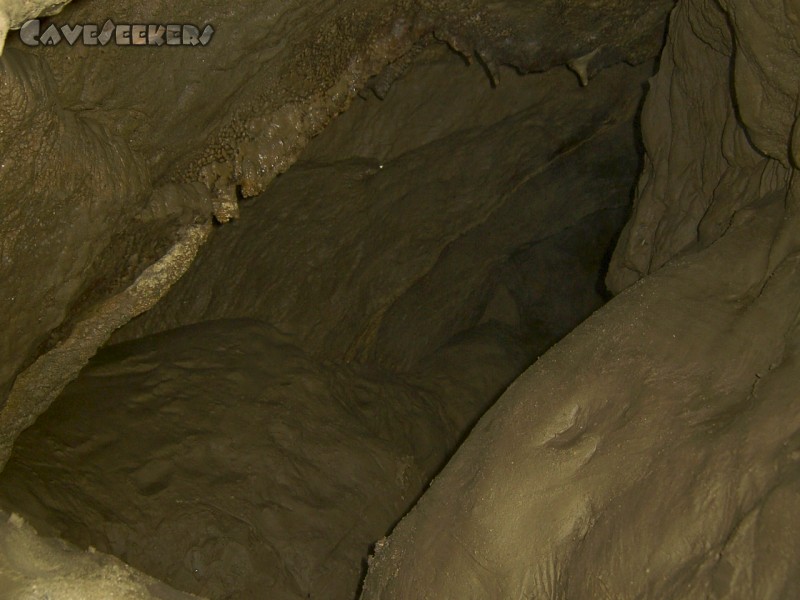 Fuchsloch Scharling: ...und hier. Wirkt geräumig. Ist es aber nicht wirklich.