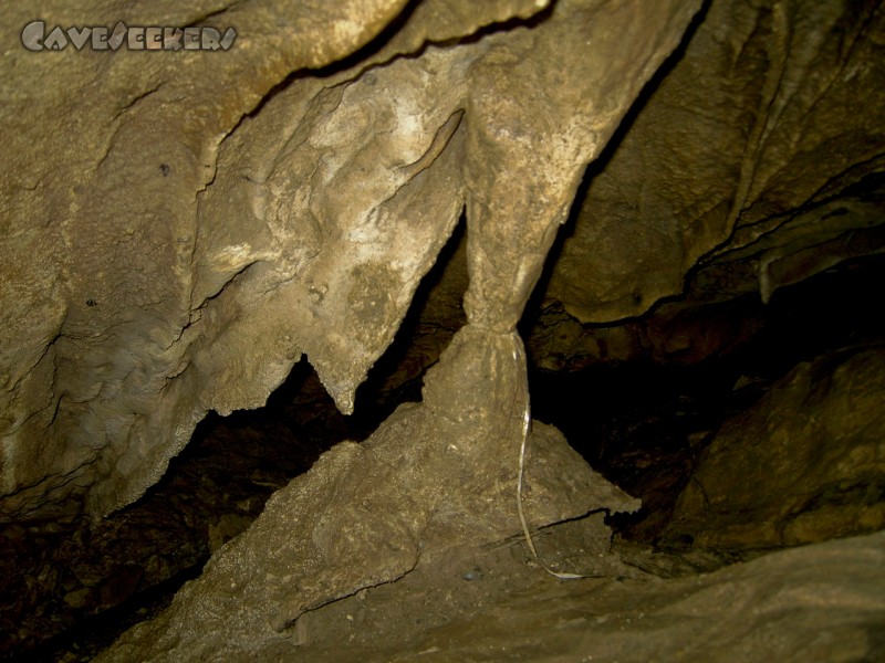 Fuchsloch Scharling: Dieser Tropfstein scheint mal verschenkt worden zu sein.