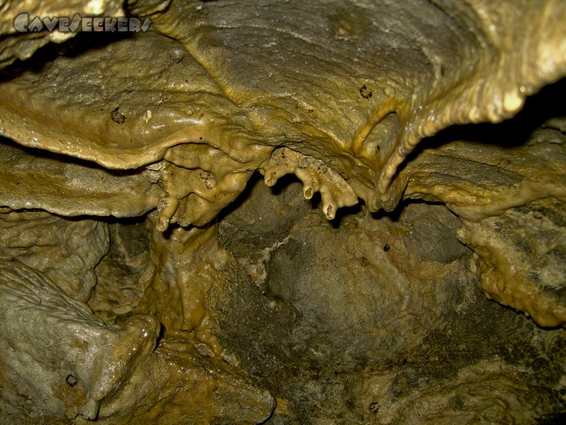 Fuchsloch Scharling: Stalagtiten: mindestens 1 cm lang.