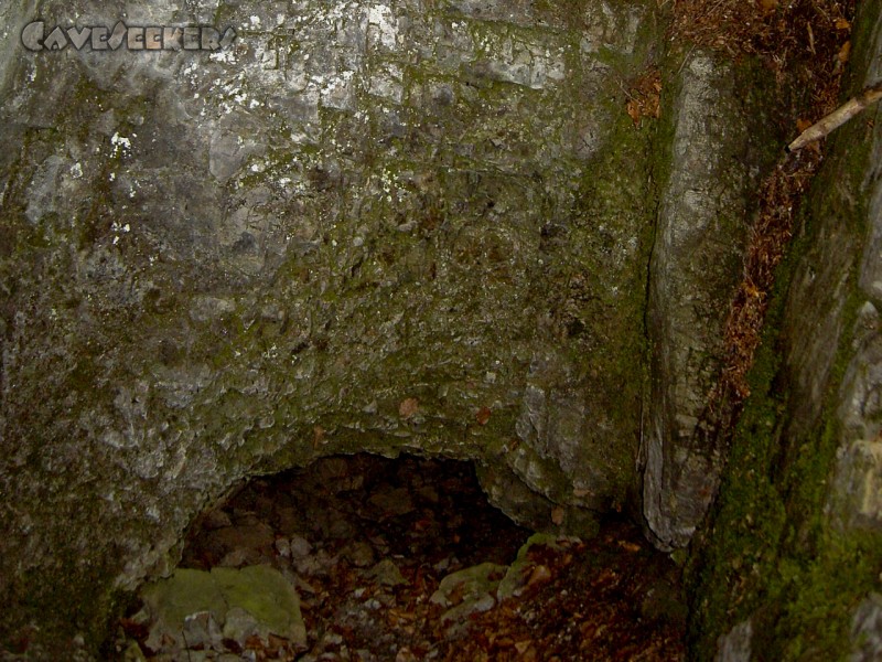 Fuchsloch Scharling: Ehrlicher Einstieg