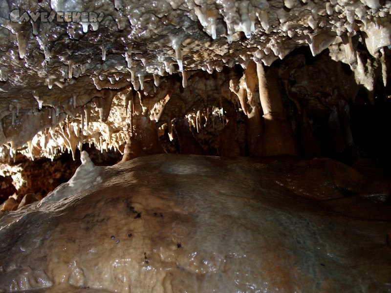 Geißberghöhle: Bekritzelte Versinterung.