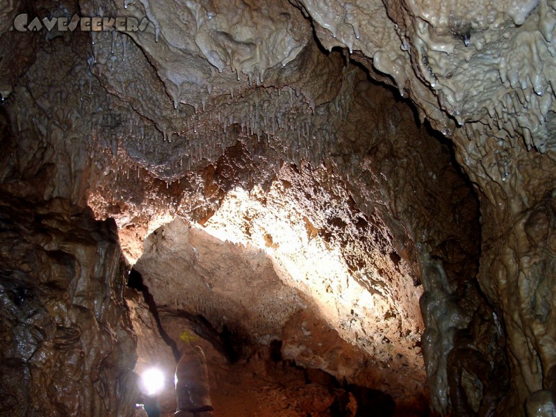 Geißberghöhle: Deckenversinterung.