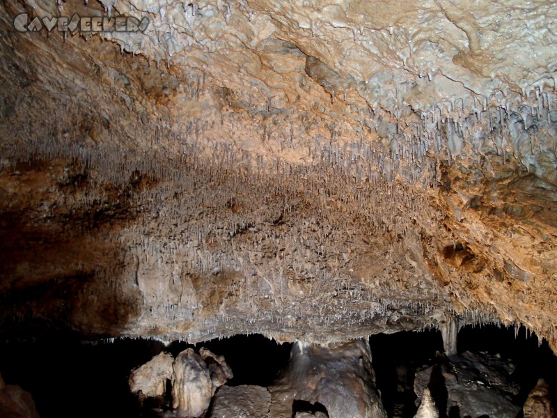 Geißberghöhle: Extrem brutaler Deckensinter.