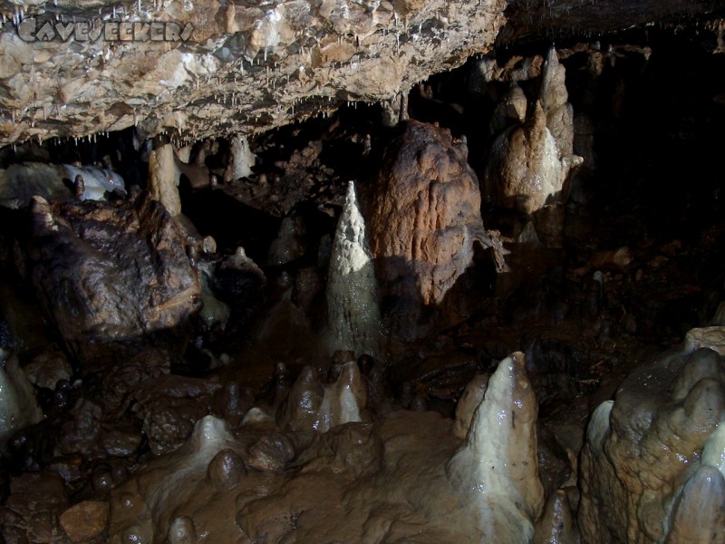 Geißberghöhle: Es sintert weiÃŸ Ã¼ber den verrusten Kameraden.