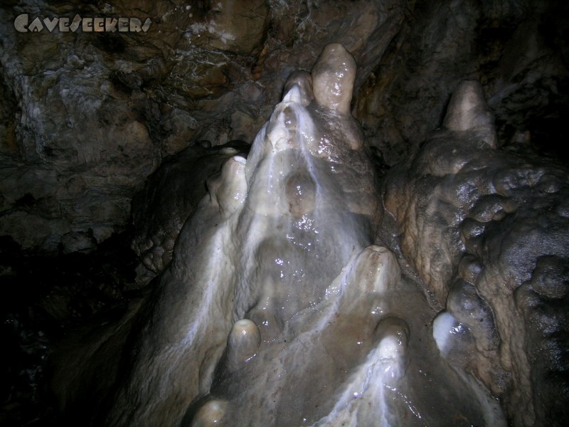 Geißberghöhle: SchÃ¶n zu erkennen, wie neuer weisser Sinter Ã¼ber den von RuÃŸ geschwÃ¤rtzen Sinter wÃ¤chst.