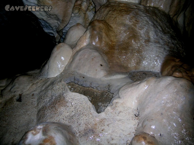 Geißberghöhle: Sinterbecken. Ohne Wurm.