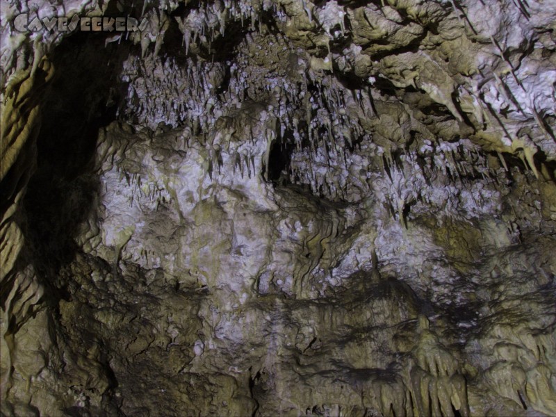 Geißberghöhle: Sinter über Sinter