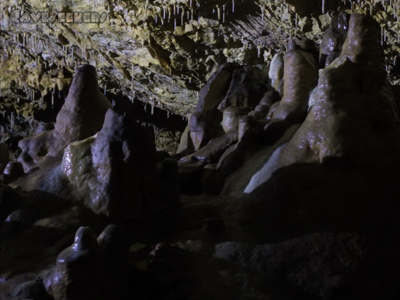 Geißberghöhle: Familenausflug ...