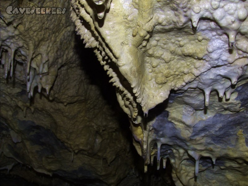 Geißberghöhle: Erinnert an einen Oktopus