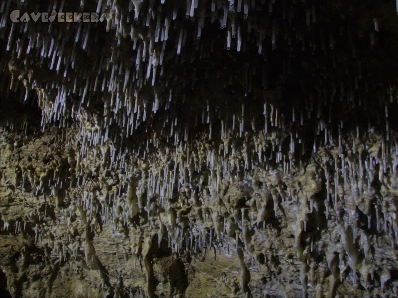 Geißberghöhle: Nadelkissen