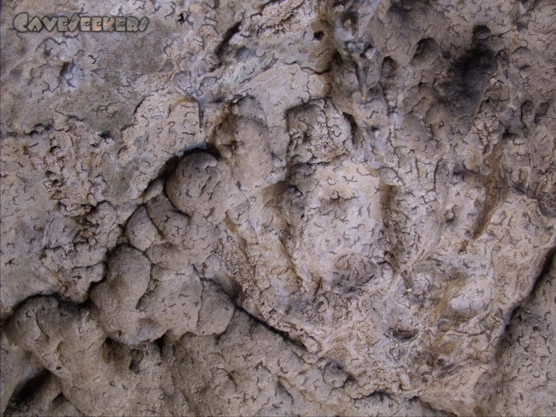 Geißberghöhle: Etwas für Geologen