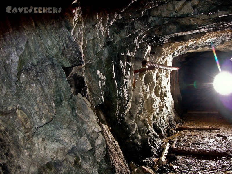 Goldener Adler: Endlose Gänge mit Altmetall