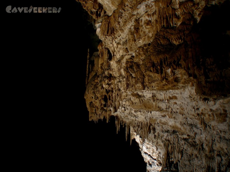 Gouffre De La Baume Des Cretes: An der Wand der Halle.