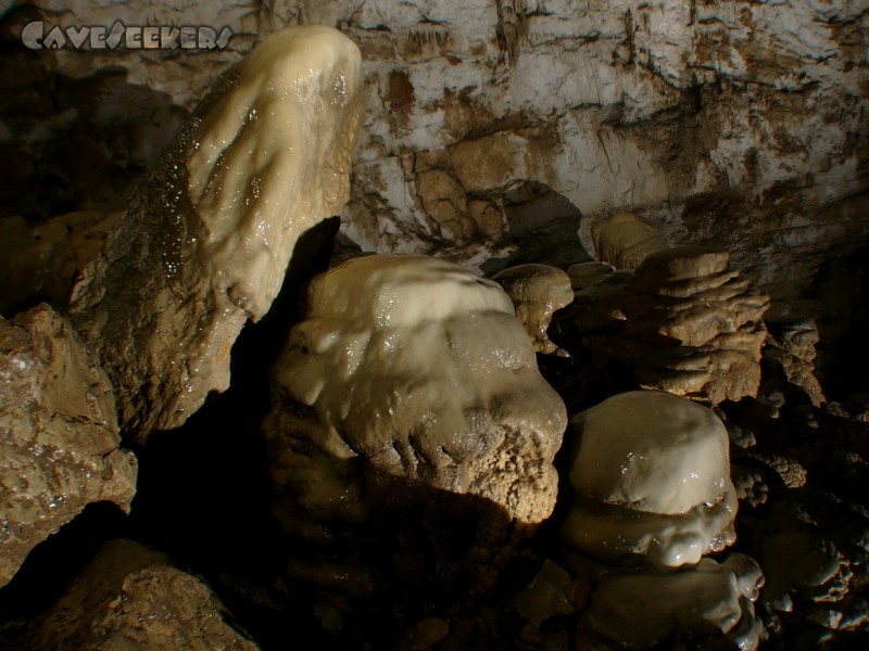 Gouffre De La Baume Des Cretes: Auch lecker.