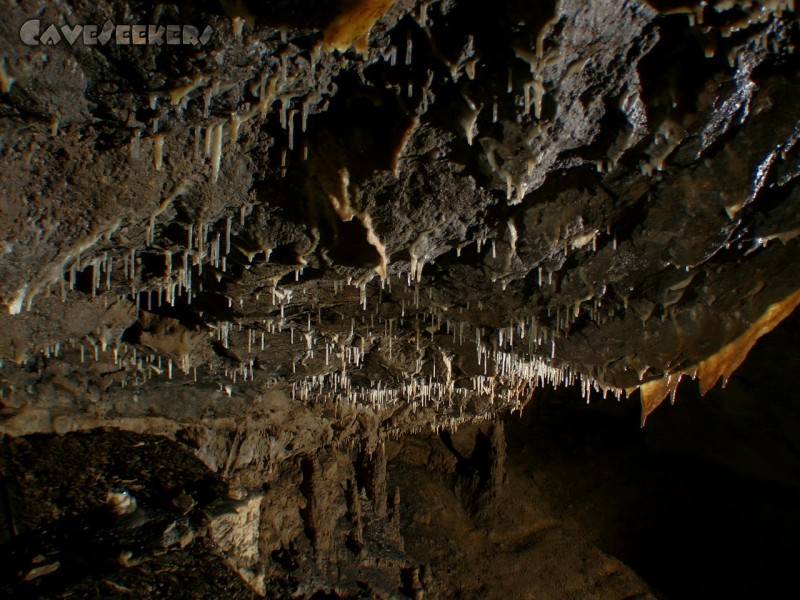 Gouffre De La Baume Des Cretes: Die zweite Sinterhalle.