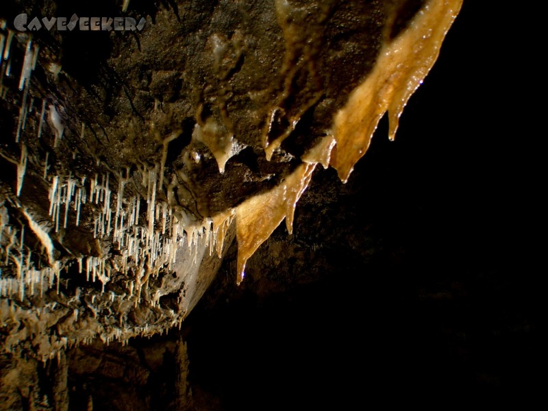 Gouffre De La Baume Des Cretes: Auch eher schön.