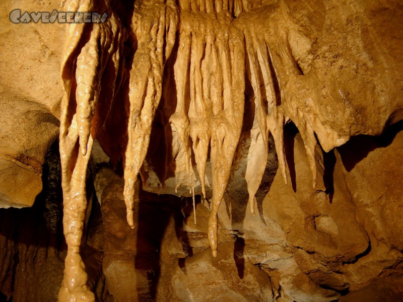 Gouffre de la Grande Baume: Sehr schöner Sinter in der kleinen Kammer am Ende des Mäanders