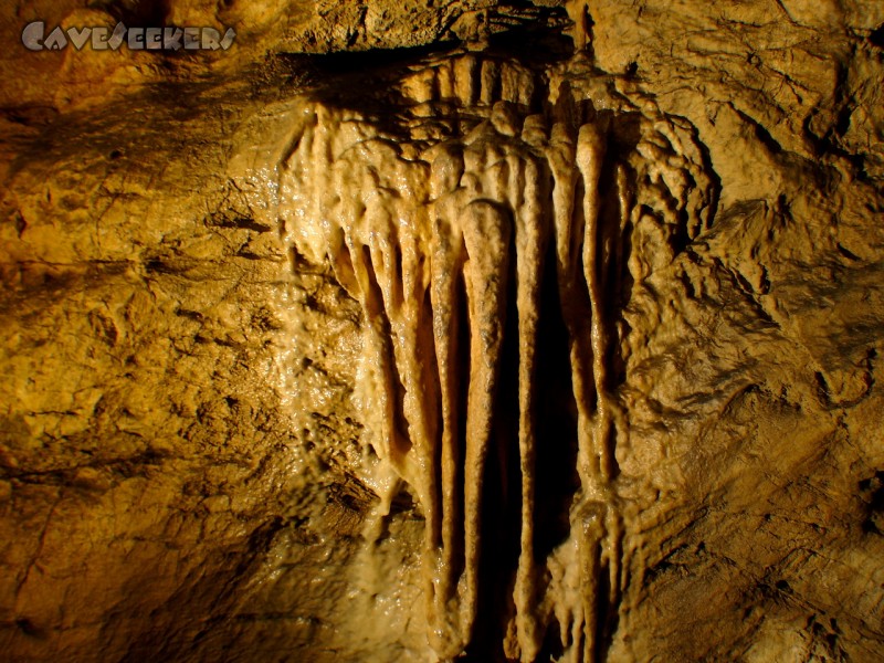 Gouffre du Bief Bousset: ...