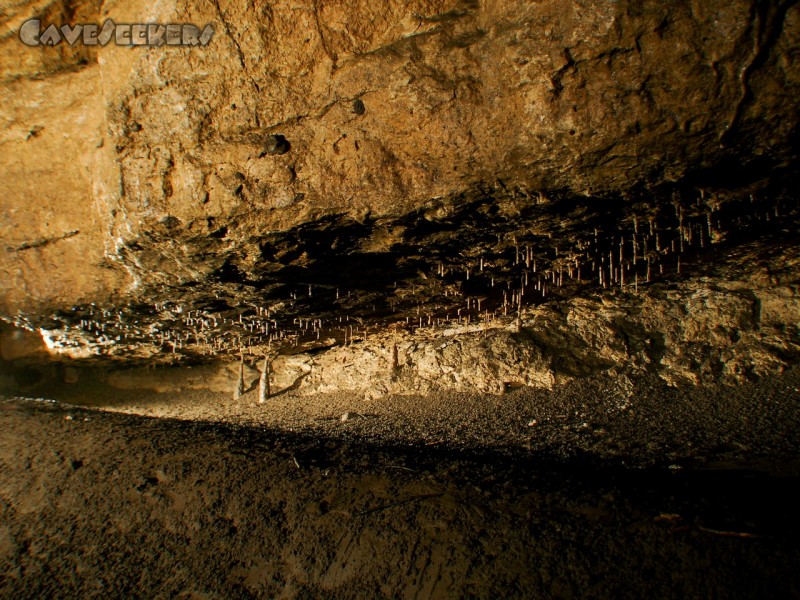 Gouffre du Bief Bousset: Makkaroni-Zoo