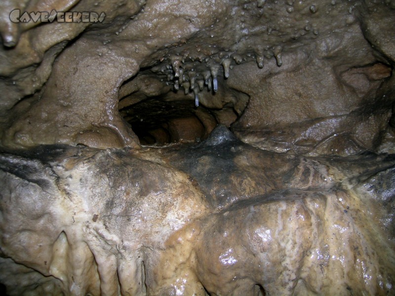 Große Heroldsreuther Höhle: Schmucker Rest-Sinter.