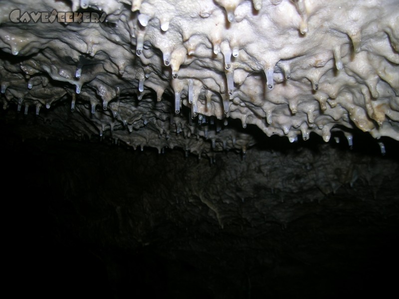Große Heroldsreuther Höhle: Schmucker Rest-Sinter.
