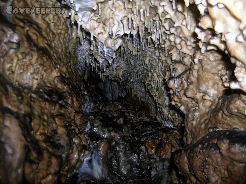Große Heroldsreuther Höhle: Wer kriecht kann gewinnen: Schmucker Rest-Sinter.