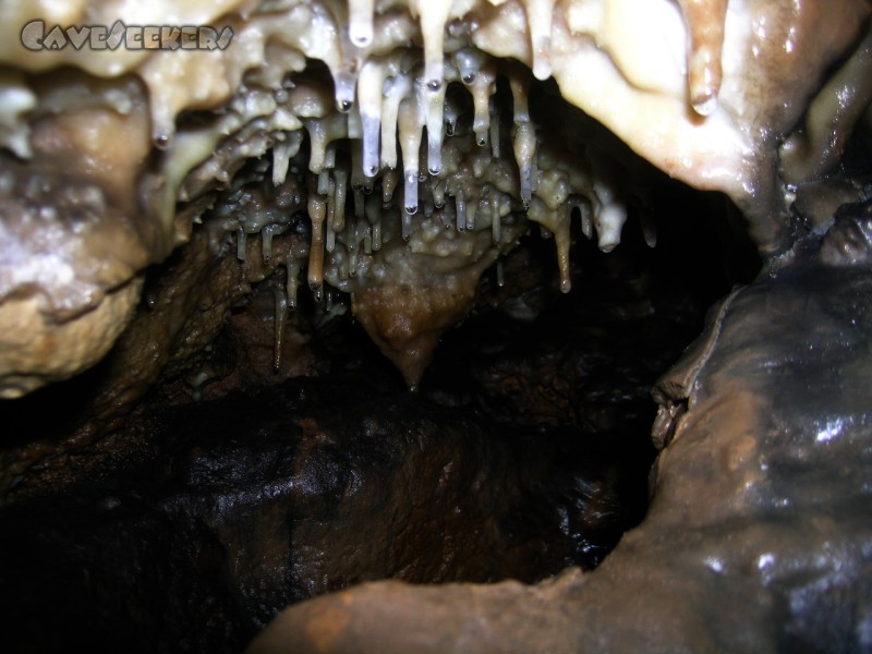 Große Heroldsreuther Höhle: Wer kriecht kann gewinnen: Schmucker Rest-Sinter.