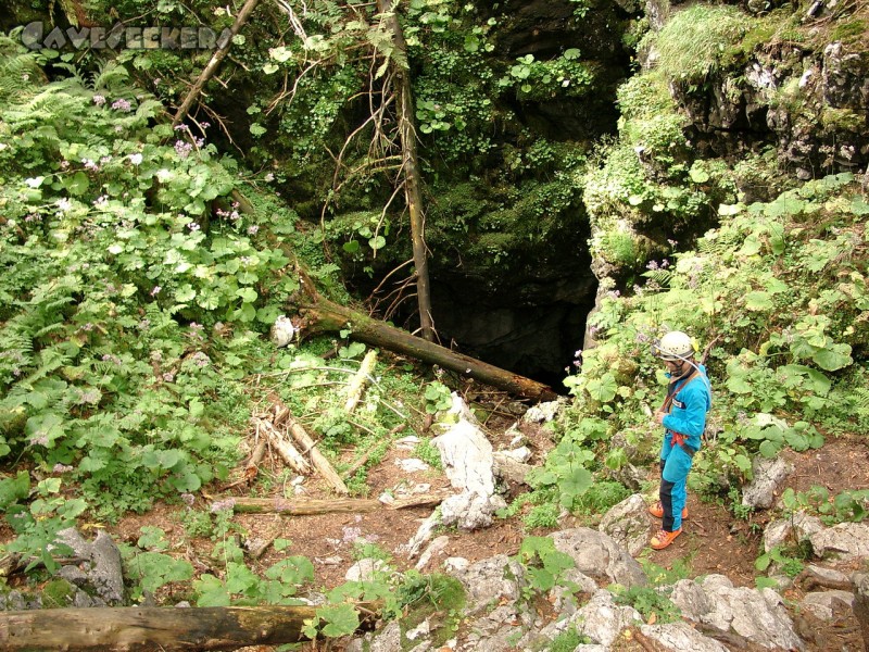 Große Spielberghöhle: Herr Kreil vor dem Loch. Ab und zu scheinen ein paar Bäume hineinzufallen. Macht aber nix, weil man ist ja schlank.