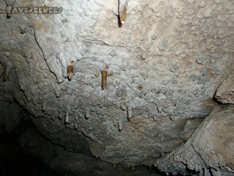 Große Spielberghöhle: Jungfräulich.