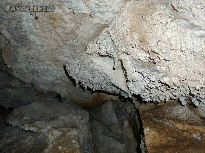 Große Spielberghöhle: Jungmännlich.