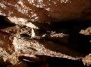 Große Spielberghöhle - Raum vor dem Canyon zum Zweiten.