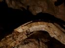 Große Spielberghöhle