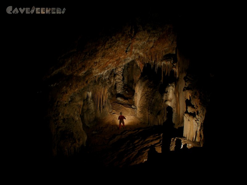 Grotta Nemec: Am Ende. Fotografierkaspar Wipplinger hockt da, wo keiner hin will. Fe4 ist nicht zu sehen, und Herr Wolfram brilliert in der der Bildmitte.