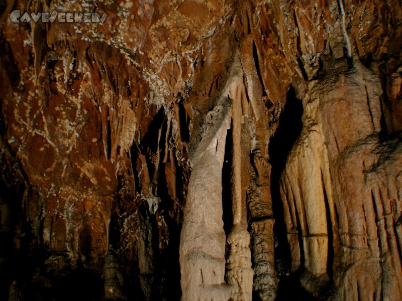 Grotta Nemec: Der Autor war bis zu diesem Zeitpunkt der Meinung, Disques gäbe es nur in der Ardeche. Falsch. Zwar ist dieser hier ziemlich schräg - aber eindeutig vorhanden.