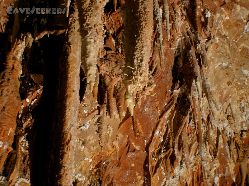 Grotta Nemec: An der Decke können Excentriques entdeckt werden. Nichts besonderes zwar, aber immerhin.