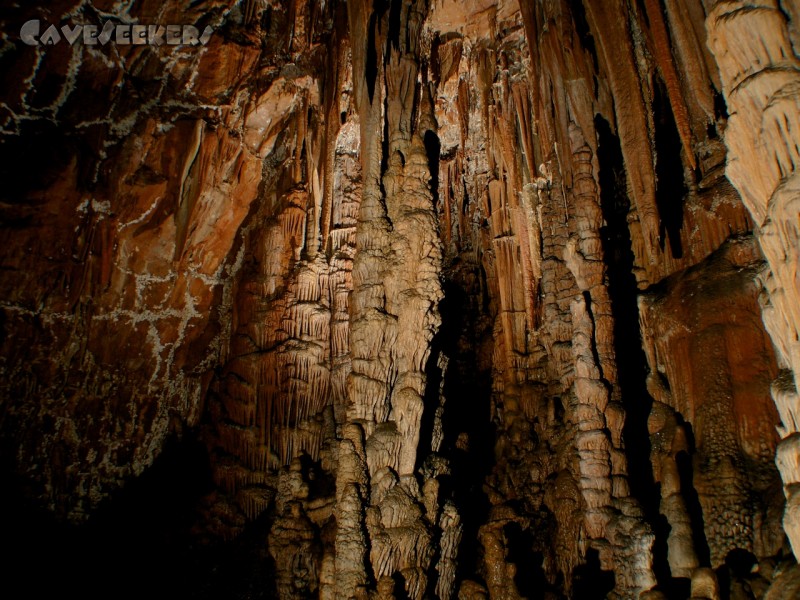 Grotta Nemec: Alles eher groß.