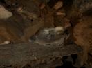 Grotta Noe