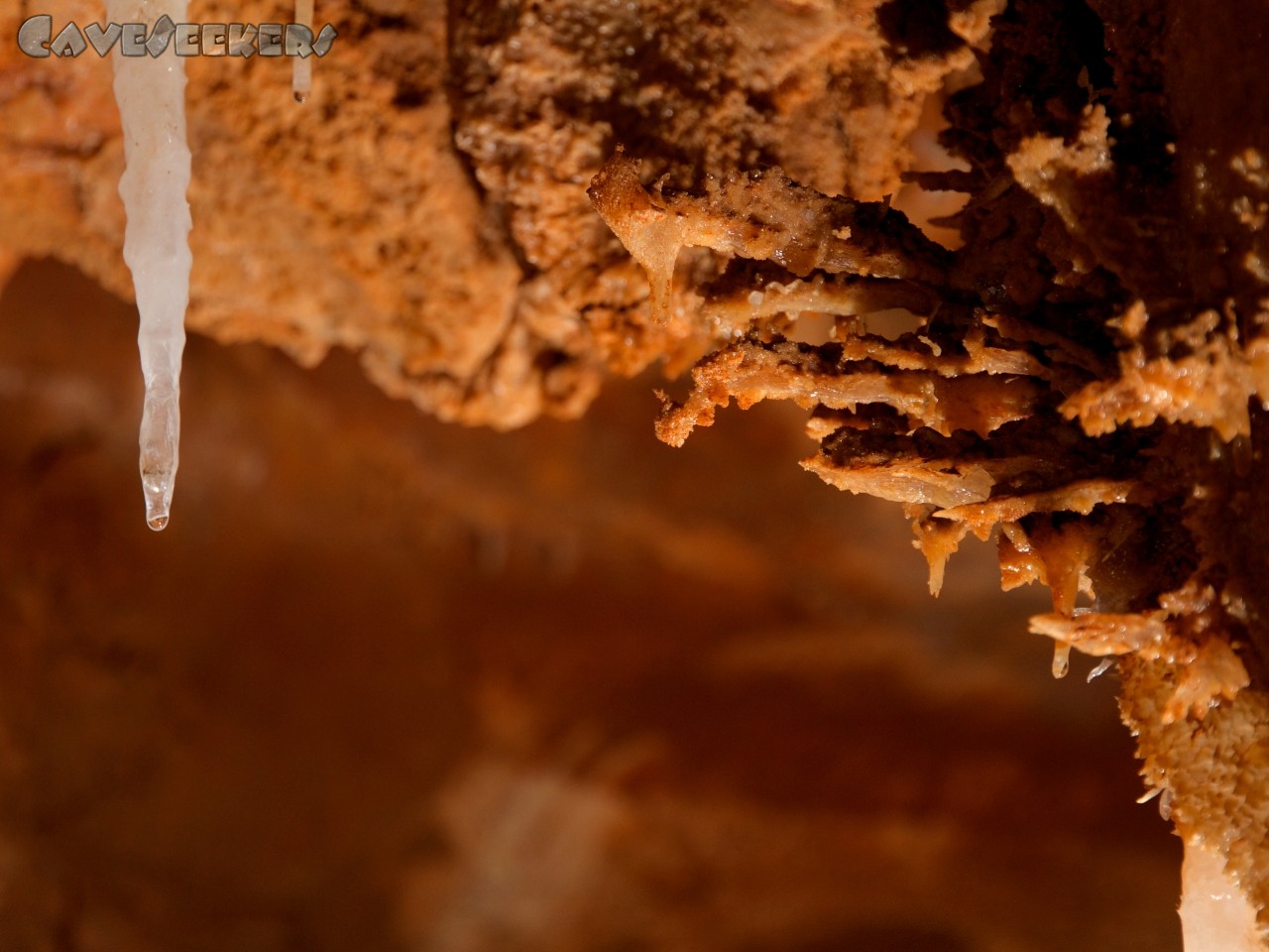 Grotta del Fico: Es fängt langsam an.