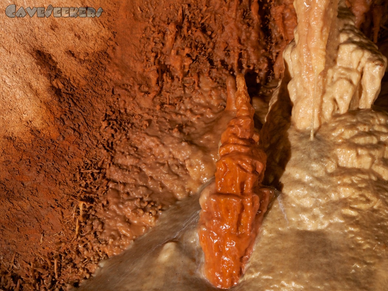 Grotta del Fico: Im Vordergrund prangt ein typisch fränkischer Premiumstalakmit. Nur eben in rot. Und vor weiss. Und vor Excentrics.