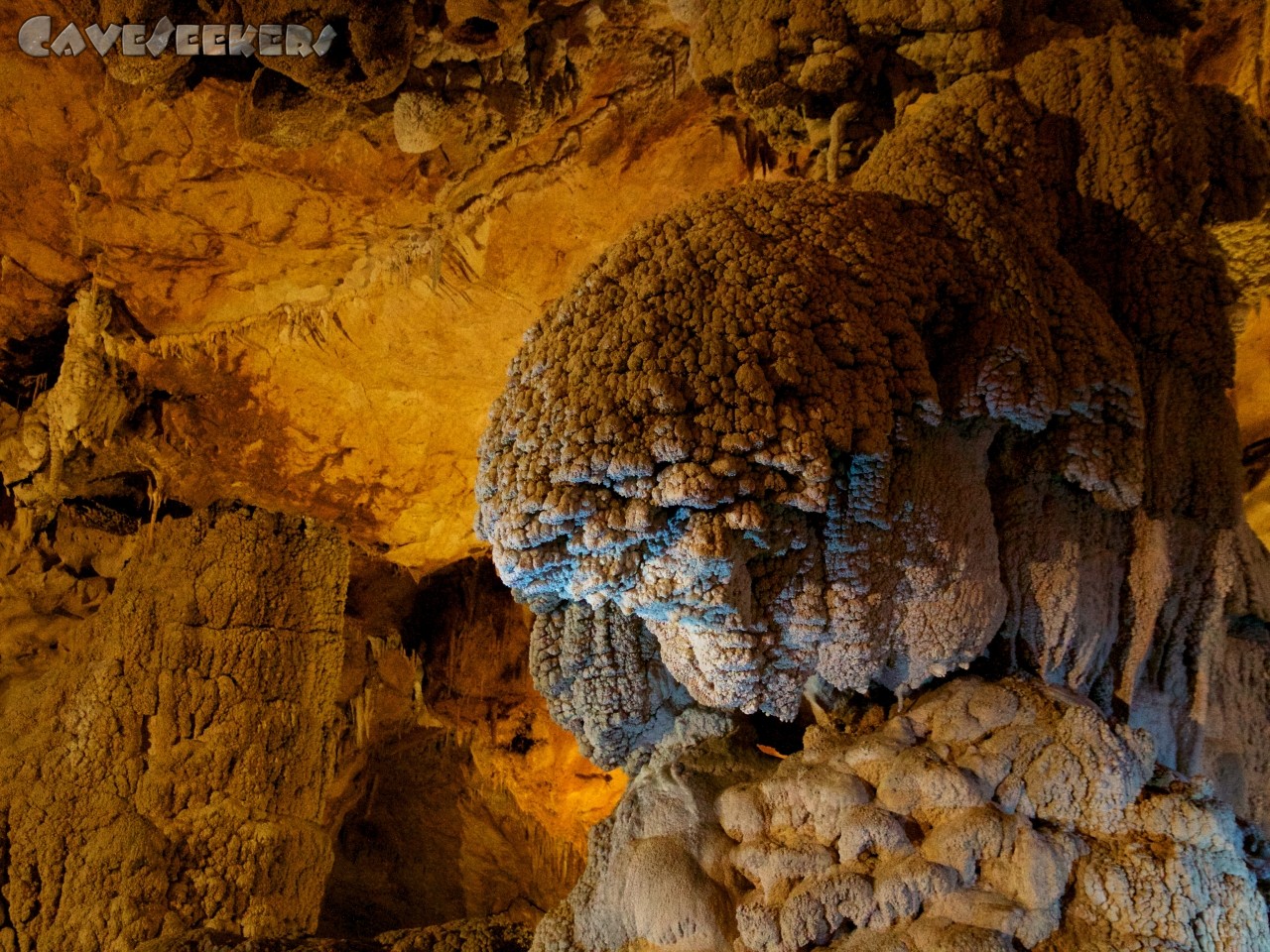 Grotta del Fico: Im Schauhöhlenteil. Hier mit der einzigen farbigen (nicht schwarzen) Lampe.