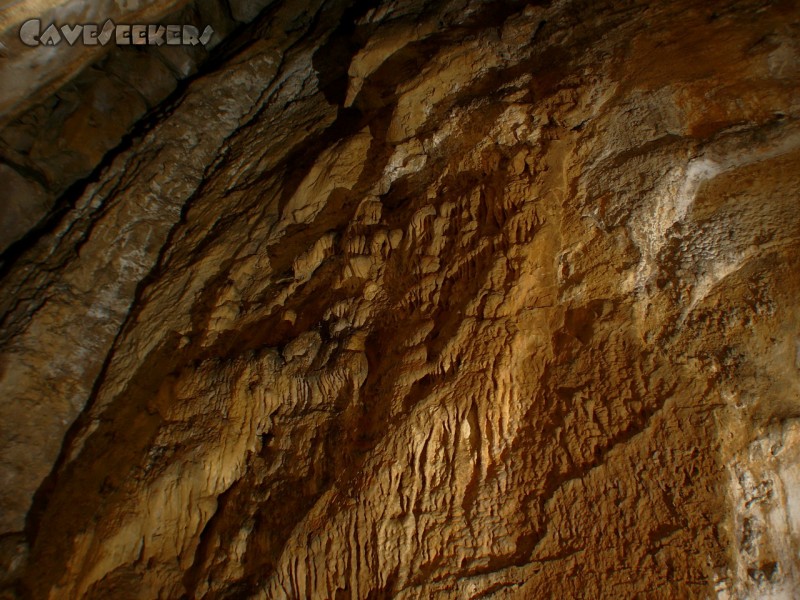 Grotte De La Salamandre: Wandsinter.