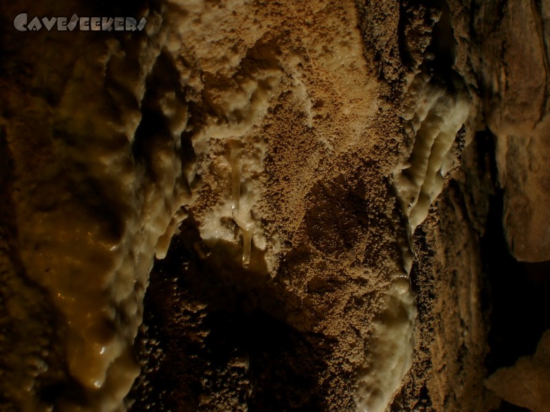 Grotte De La Salamandre: Zwei Röhrchen.