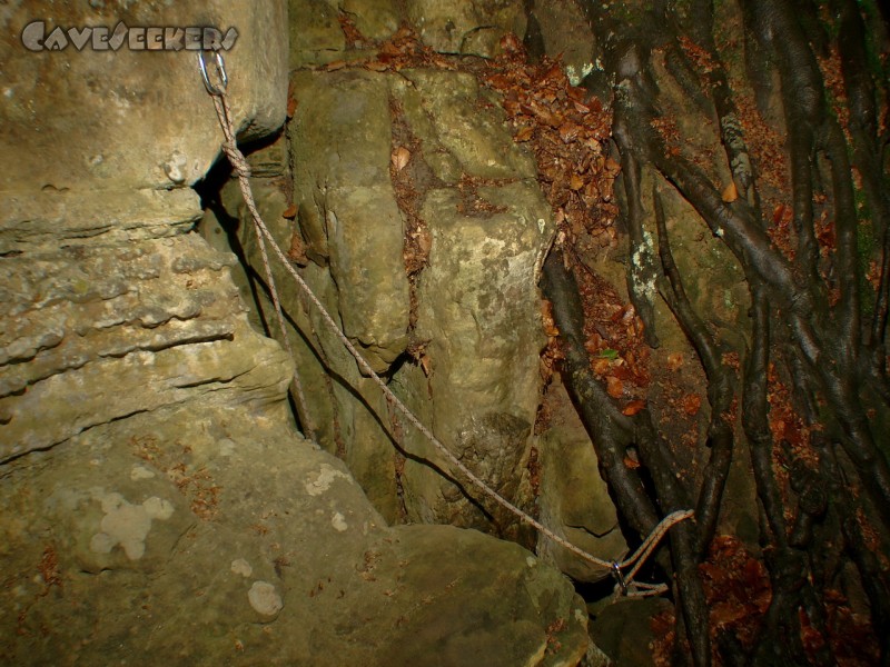 Grotte De La Salamandre: Der Einstieg.