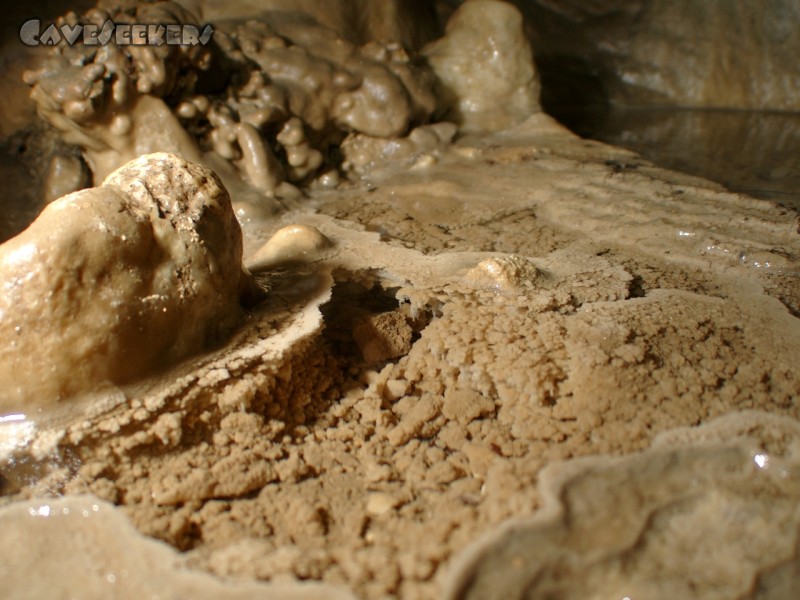 Grotte de Baume du Mont: Man kann nie genug Sinterbecken fotografieren.