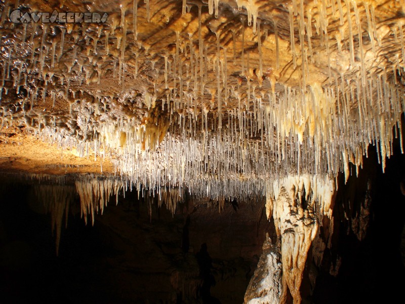 Grotte de la Malatiere: Allerlei Maccionis. Was der wohl macht?