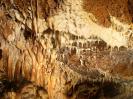 Grotte de la Malatiere - Wer dies fotografiert, befindet sich definitiv auf dem falschen Weg. Nur der gehärtete CaveSeeker übersteht diesen.