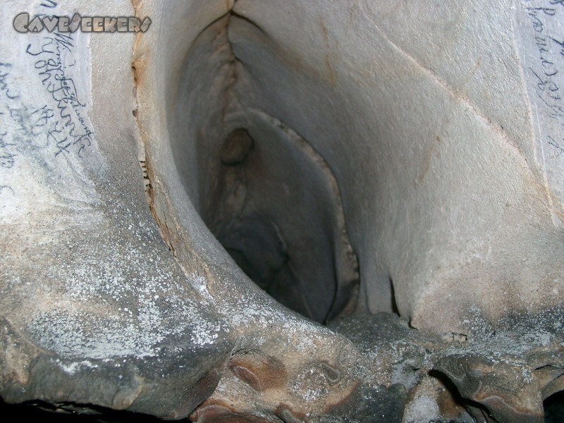 Grundlose Grube: Alien.